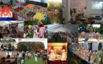 Barnes Food Fair 2013