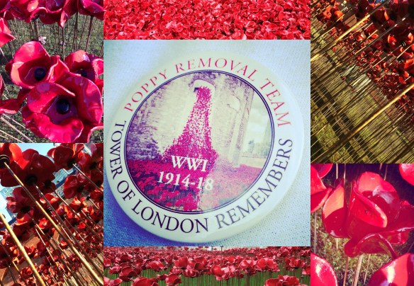 Tower Poppy Removal1